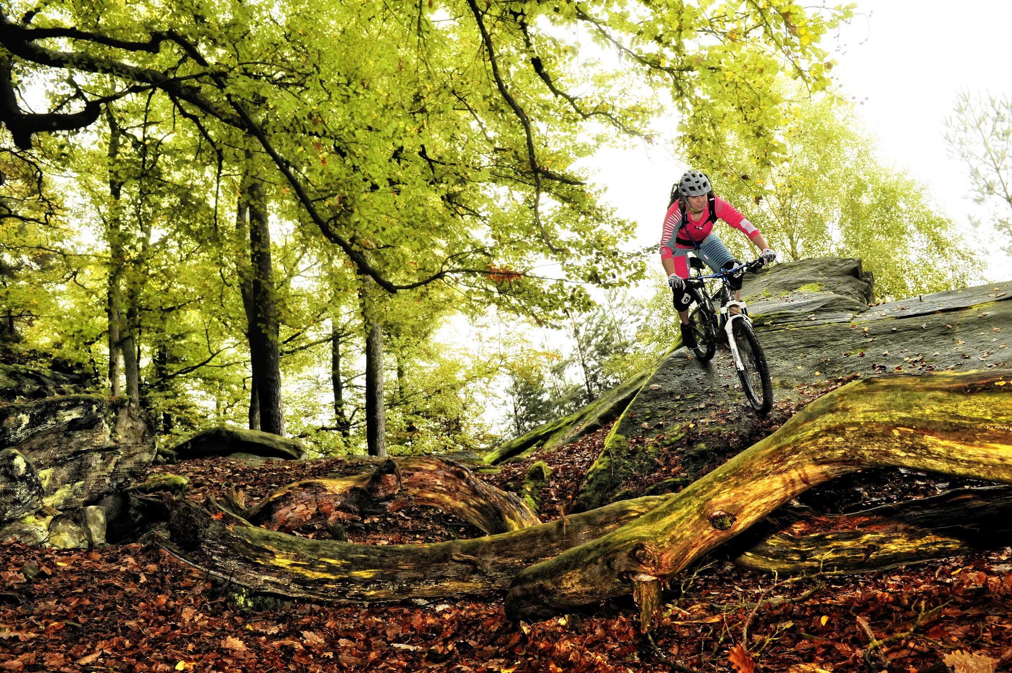 Mountainbiking Pfälzerwald
