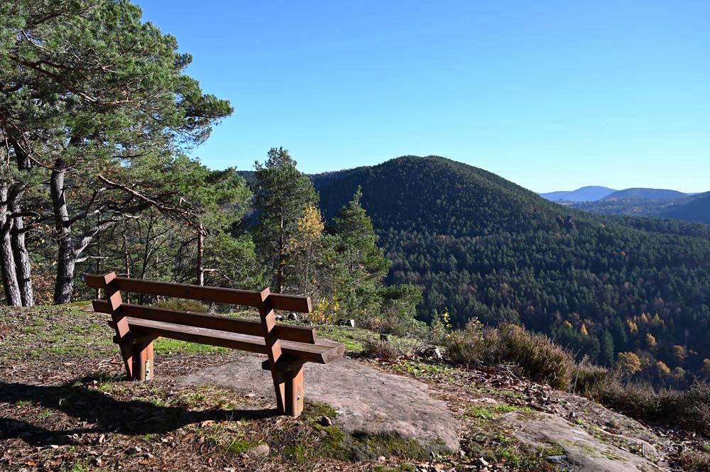 Wandern im Pfälzerwald